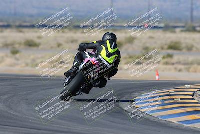 media/Feb-03-2024-SoCal Trackdays (Sat) [[767c60a41c]]/2-Turn 11 (10am)/